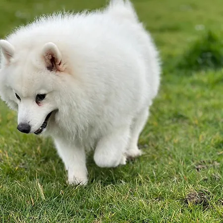 Fabulous Dos Pescadores דירה *